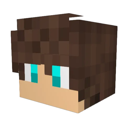 Roertooo Minecraft avatar head, 3D render