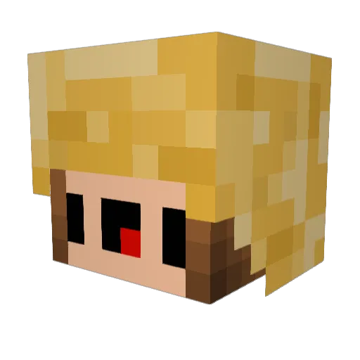 Roeschter Minecraft avatar head, 3D render