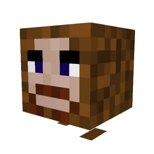 RoetWolf Minecraft avatar head, 3D render