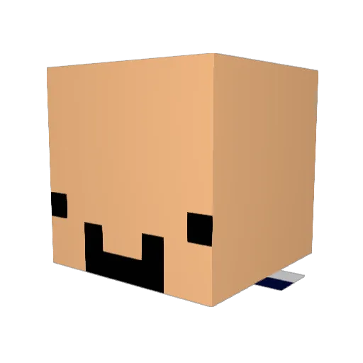 Roetga Minecraft avatar head, 3D render
