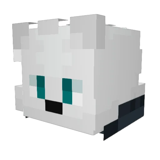 Rofa02 Minecraft avatar head, 3D render