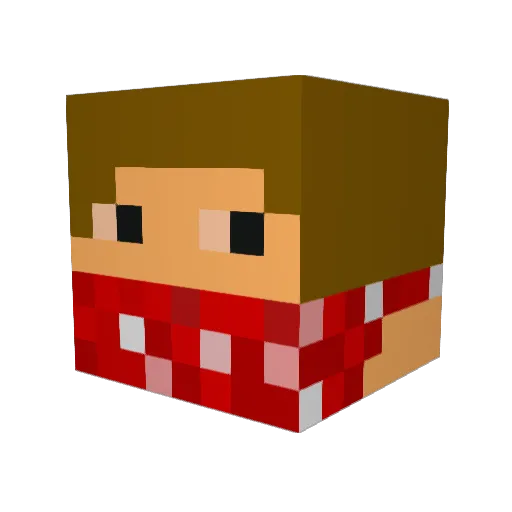 Rofe322 Minecraft avatar head, 3D render