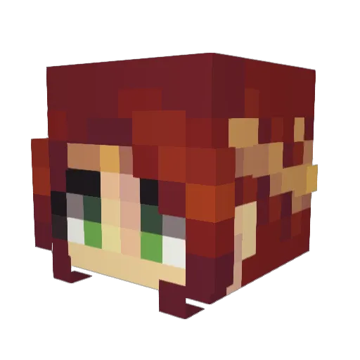 Roflemeyer24 Minecraft avatar head, 3D render