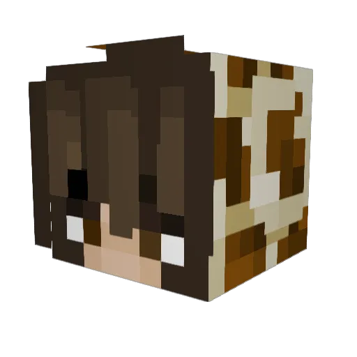 Roflozie Minecraft avatar head, 3D render