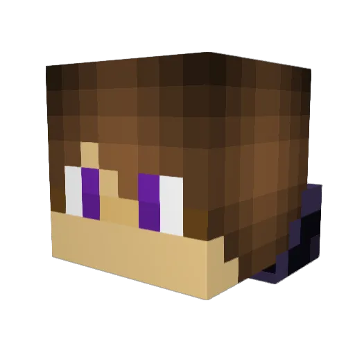 Rofnay Minecraft avatar head, 3D render