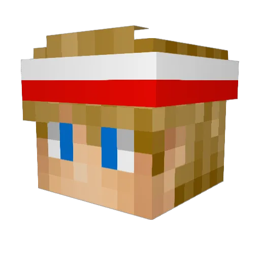 Rofus08 Minecraft avatar head, 3D render