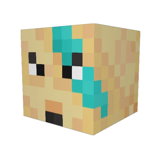 Rog9377 Minecraft avatar head, 3D render