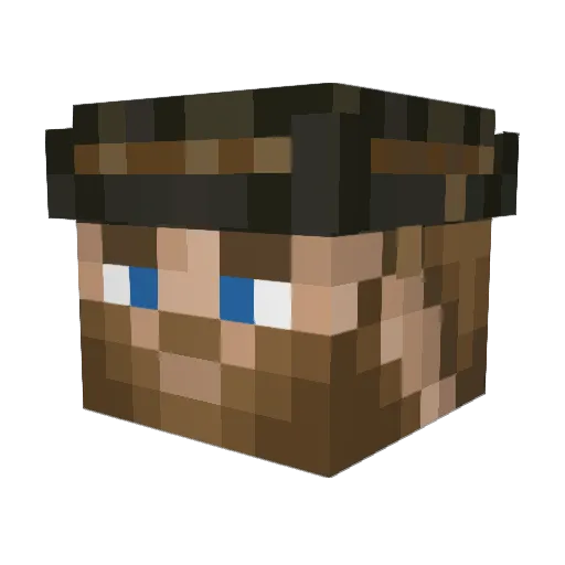 RogFromTheRockNZ Minecraft avatar head, 3D render