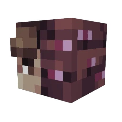 Roge_Voleb Minecraft avatar head, 3D render