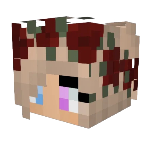 Rogeen Minecraft avatar head, 3D render