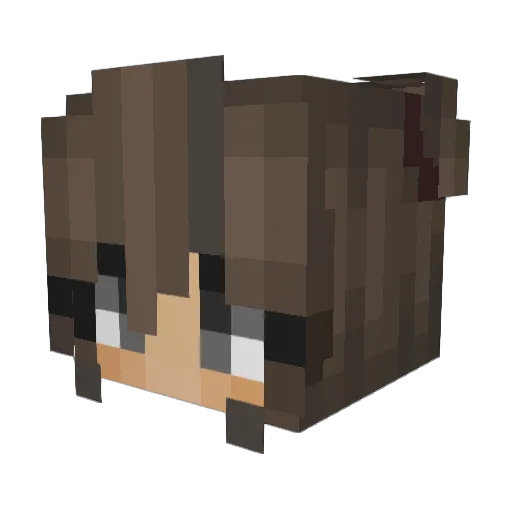 RogerForsman Minecraft avatar head, 3D render