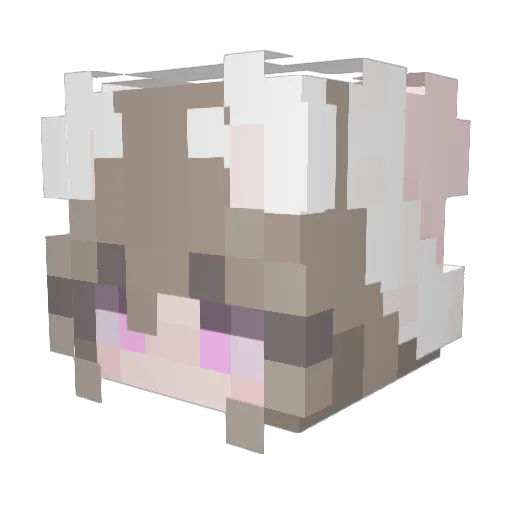 RogerSalaz Minecraft avatar head, 3D render