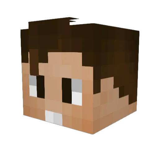 RogerWii Minecraft avatar head, 3D render