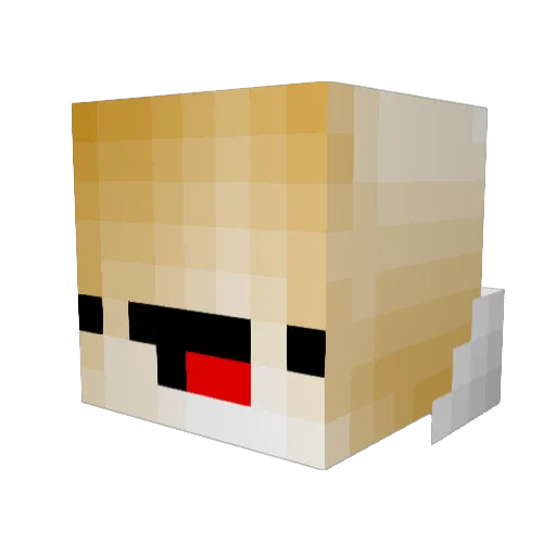 Roger_H Minecraft avatar head, 3D render