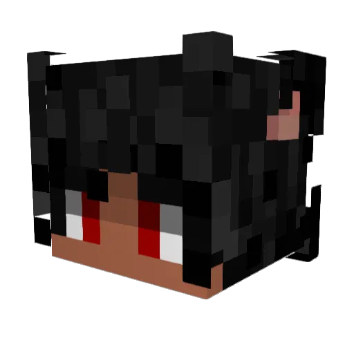 Rogerfisi Minecraft avatar head, 3D render