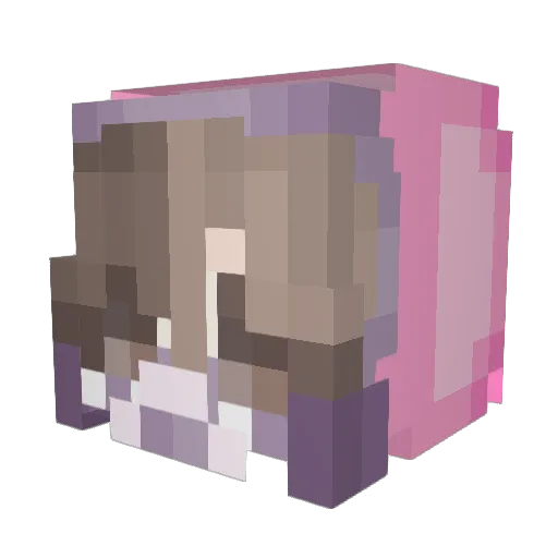Rogerz3000 Minecraft avatar head, 3D render