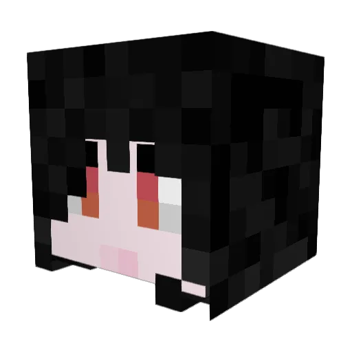 Roggan_SV Minecraft avatar head, 3D render