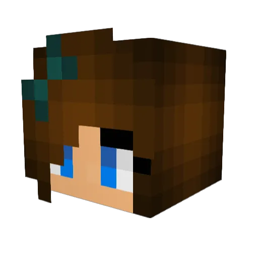 Rogge Minecraft avatar head, 3D render