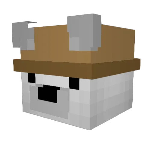 Rogh37 Minecraft avatar head, 3D render