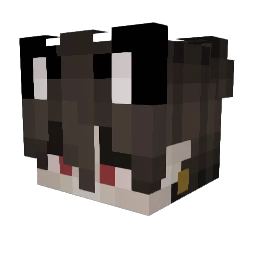 Rogue0707 Minecraft avatar head, 3D render