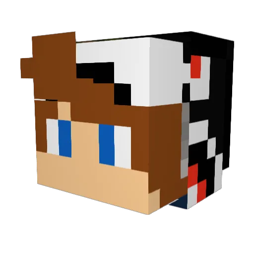 Rogue08 Minecraft avatar head, 3D render