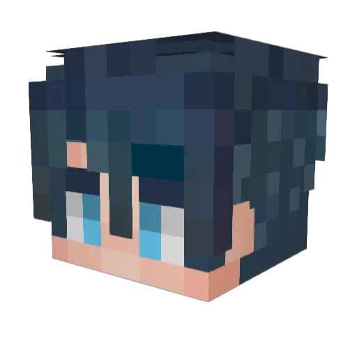 RogueBicycle418 Minecraft avatar head, 3D render