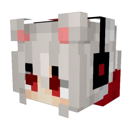 RogueDonut02 Minecraft avatar head, 3D render