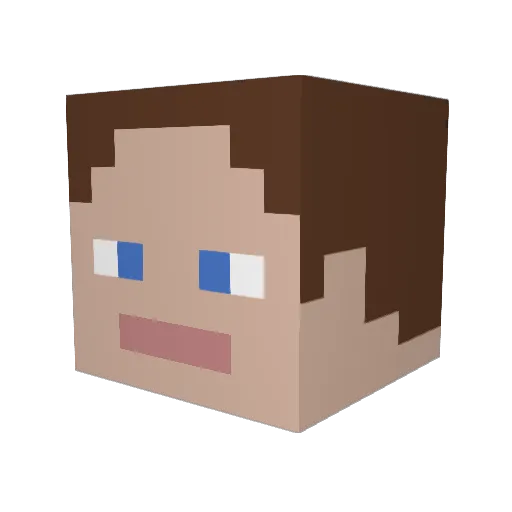 RogueFireWolf Minecraft avatar head, 3D render