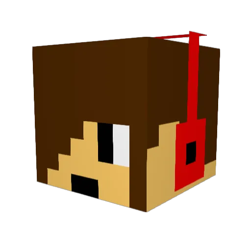 RogueLove2 Minecraft avatar head, 3D render