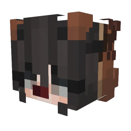 RogueQuest Minecraft avatar head, 3D render