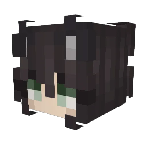 RogueRem Minecraft avatar head, 3D render