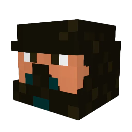 RogueRevan Minecraft avatar head, 3D render