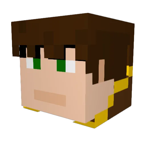 RogueShadow11122 Minecraft avatar head, 3D render