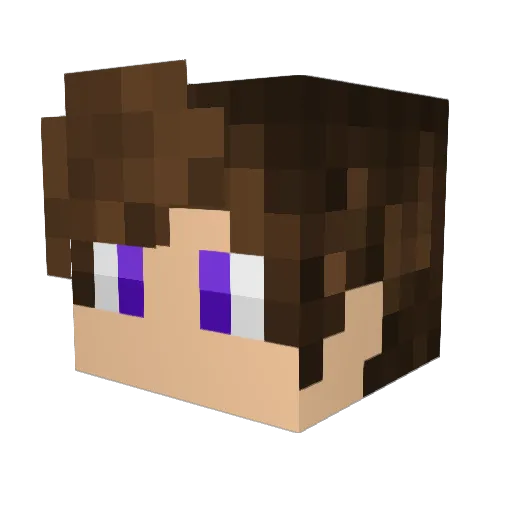 RogueSlasher4 Minecraft avatar head, 3D render