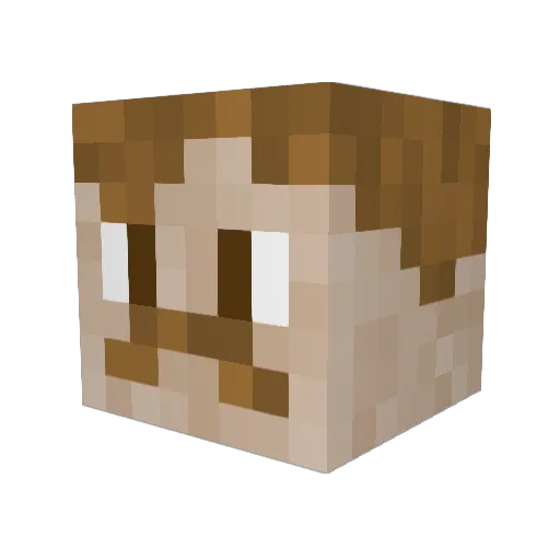 RogueTalon13 Minecraft avatar head, 3D render
