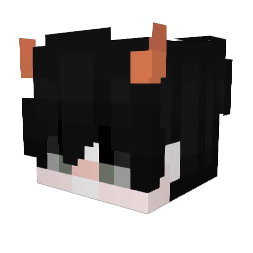 RogueTragedy Minecraft avatar head, 3D render