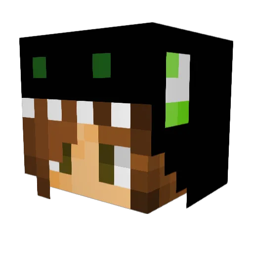RogueUnicorn764 Minecraft avatar head, 3D render