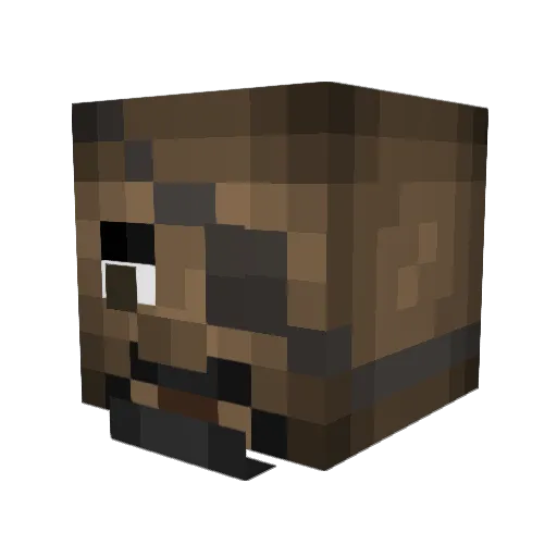 RogueWOLF058 Minecraft avatar head, 3D render
