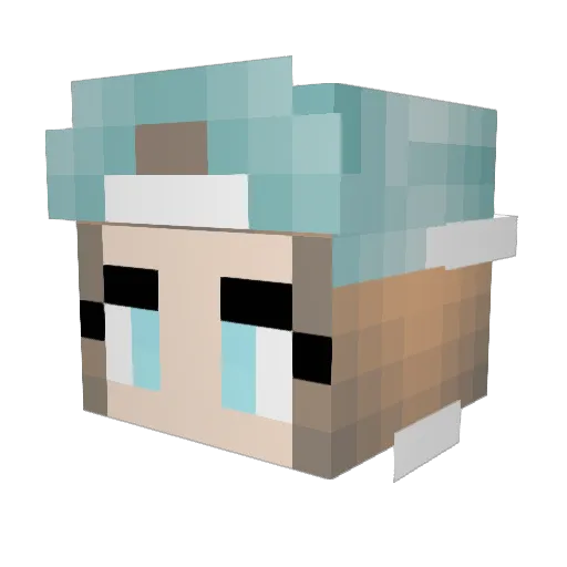 Rogue_Tempest Minecraft avatar head, 3D render