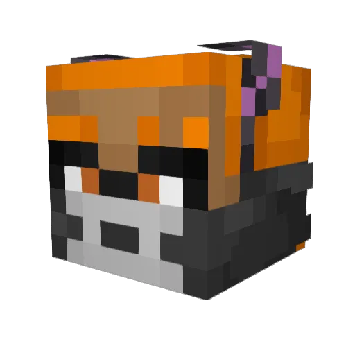 Rogueflyer08 Minecraft avatar head, 3D render