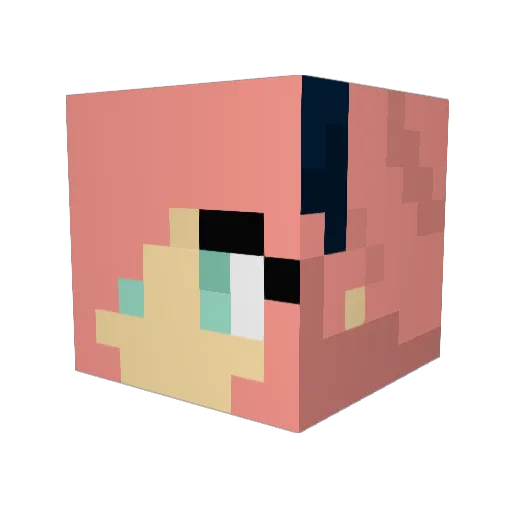 Rogueninja16 Minecraft avatar head, 3D render
