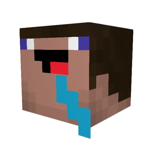 Roguesk1 Minecraft avatar head, 3D render