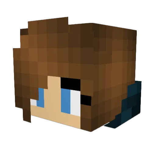 Roguetastic Minecraft avatar head, 3D render