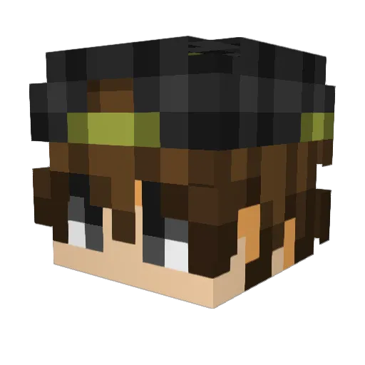 Rogui20 Minecraft avatar head, 3D render