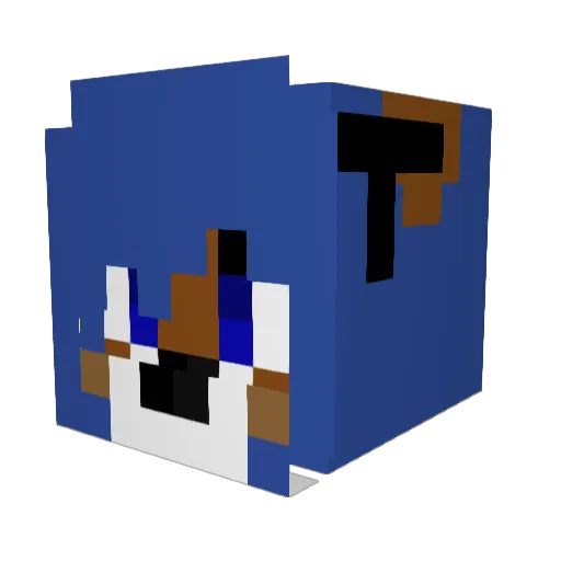 Rogun Minecraft avatar head, 3D render