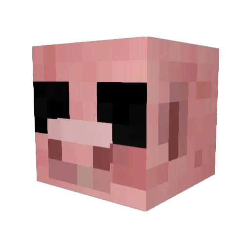 Rogypod123 Minecraft avatar head, 3D render