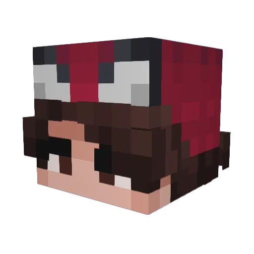 RohanLee1026 Minecraft avatar head, 3D render