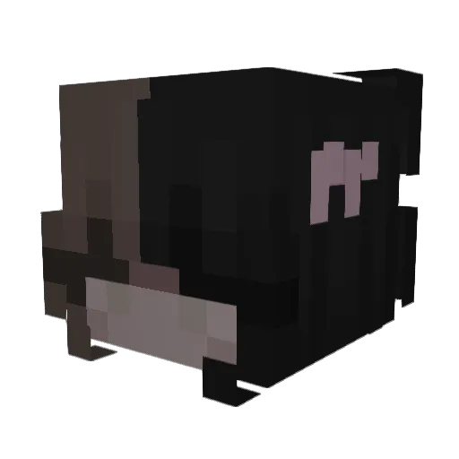 RohanSharma2004_ Minecraft avatar head, 3D render