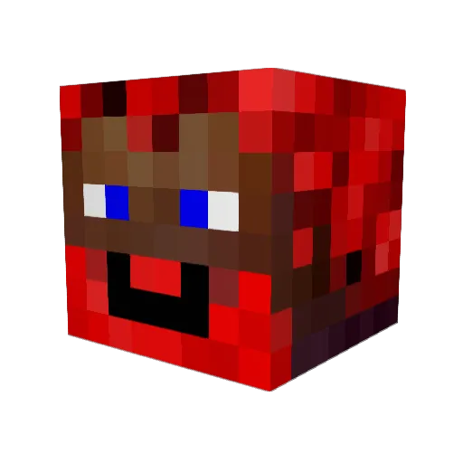 Rohbbby Minecraft avatar head, 3D render