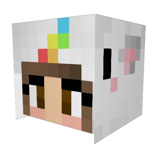 Rohim8 Minecraft avatar head, 3D render